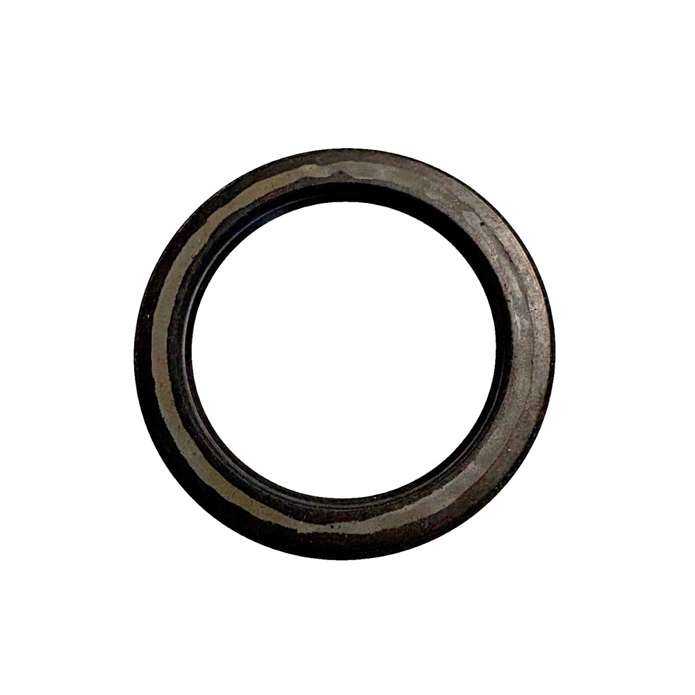 Hub Oil Seal RTC3508